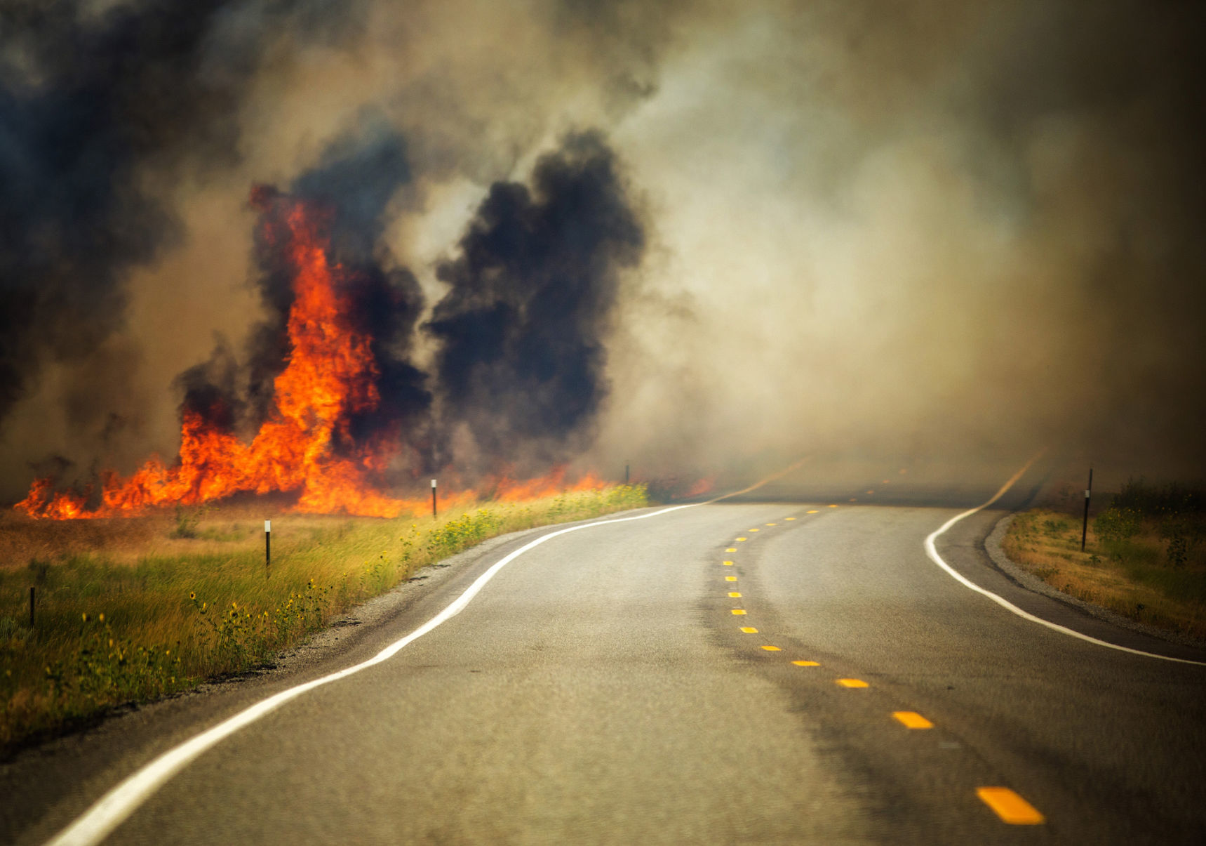 Dog Creek fire